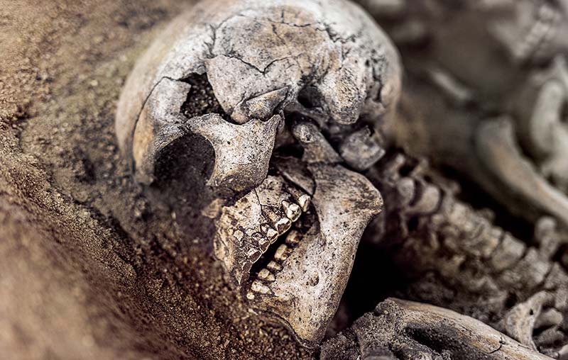 Vy från Öga mot Öga med en närbild av ett kranium.