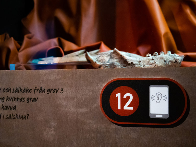 A symbol indicating the audio guide number next to a display featuring bone artifacts.