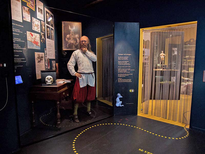 The next room is also dark with a black floor and dark blue walls. There is a display case with a male doll dressed as a Viking. There are pictures on the wall and a skull in a smaller display case. Yellow dots on the floor lead to an opening to a yellow room with black display cases. A curtain made of ring weaving hangs in the opening.