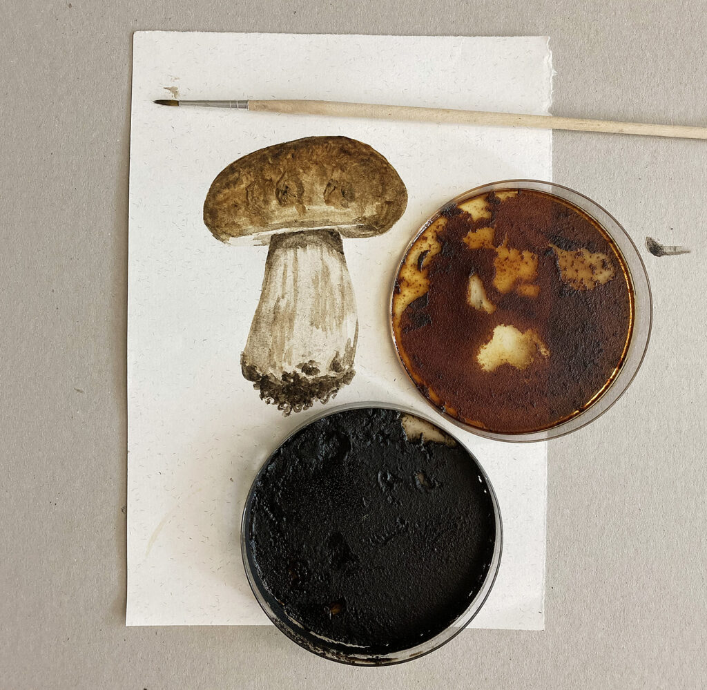 Färg som tillverkats genom att koka svampar, och en akvarellbild föreställande en svamp
