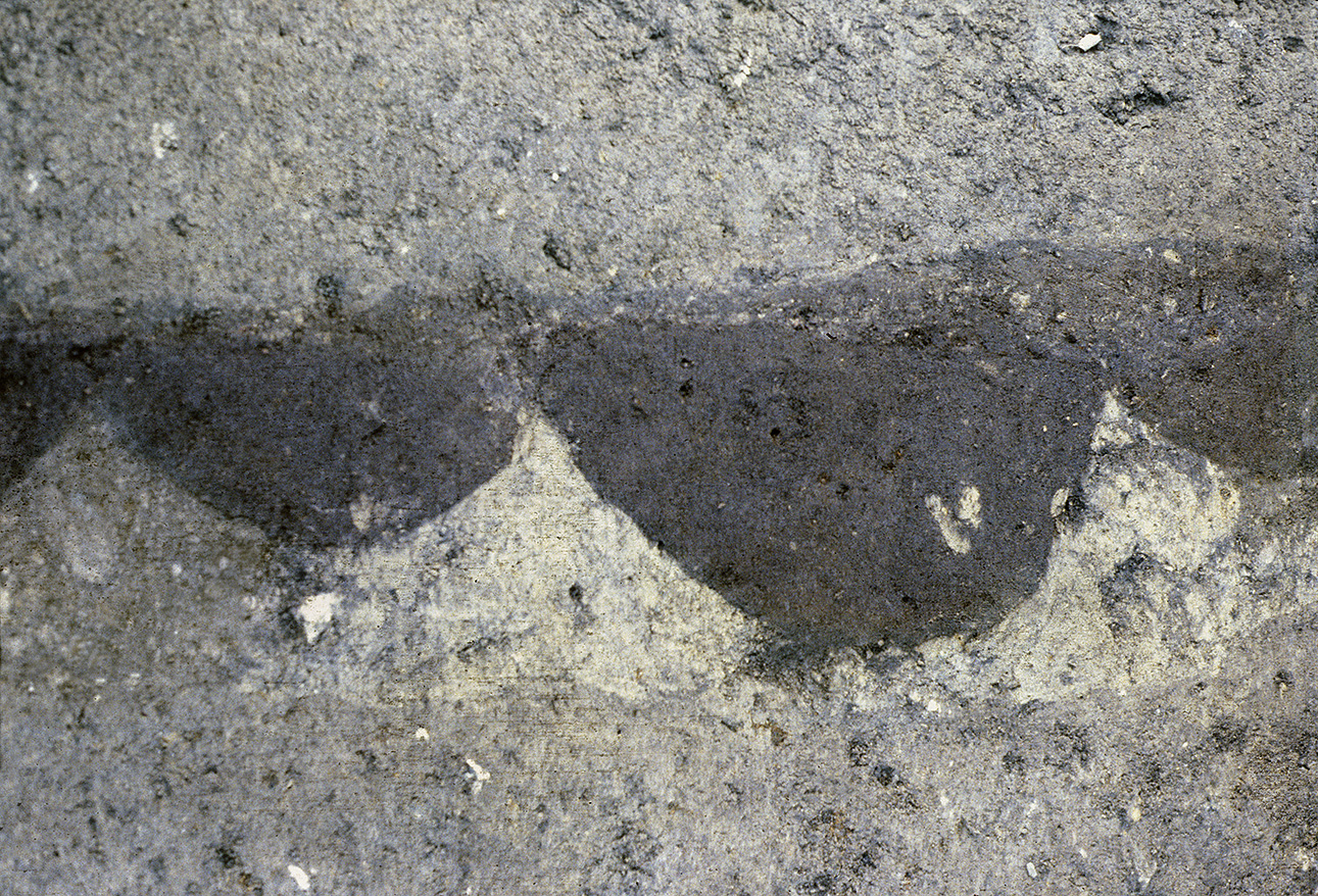 Från utgrävningen. Spår i marken efter palissaden.