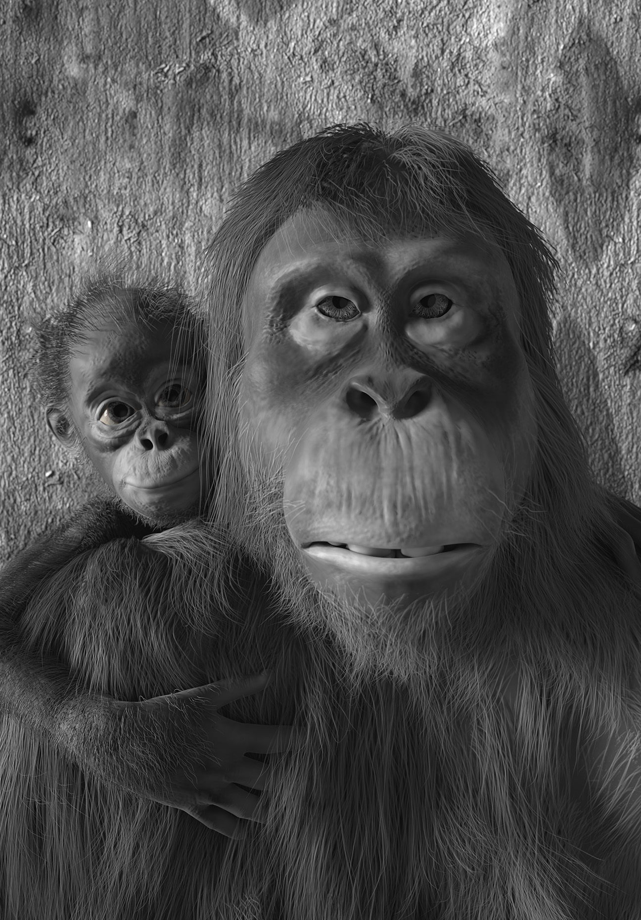 Bild av David Krantz. Orangutang med unge.