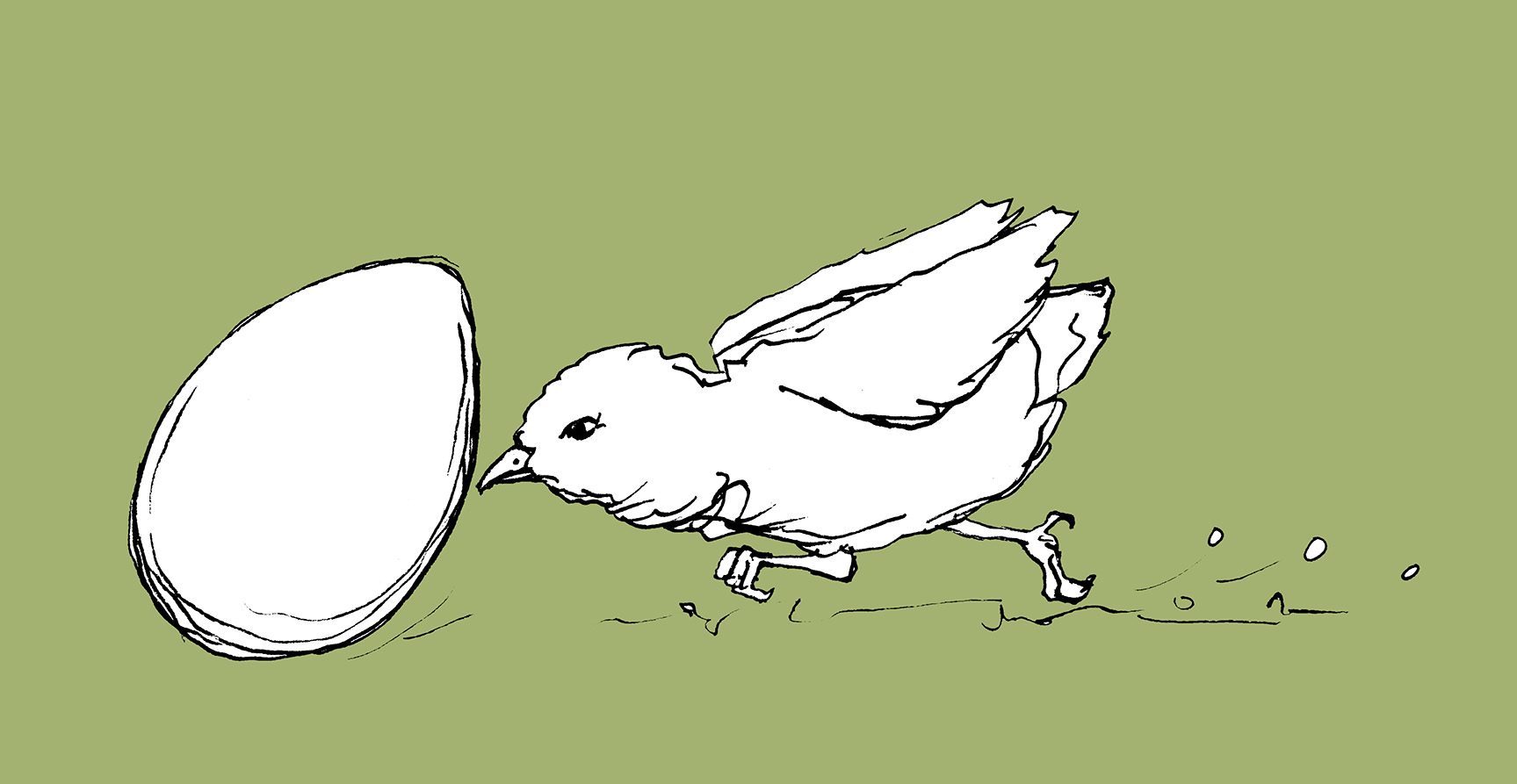 tecknad kyckling puffar på ett ägg med näbben.